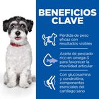 Hill's Science Plan Perfect Weight & Active Mobility Small & Mini Pollo pienso para perros, , large image number null
